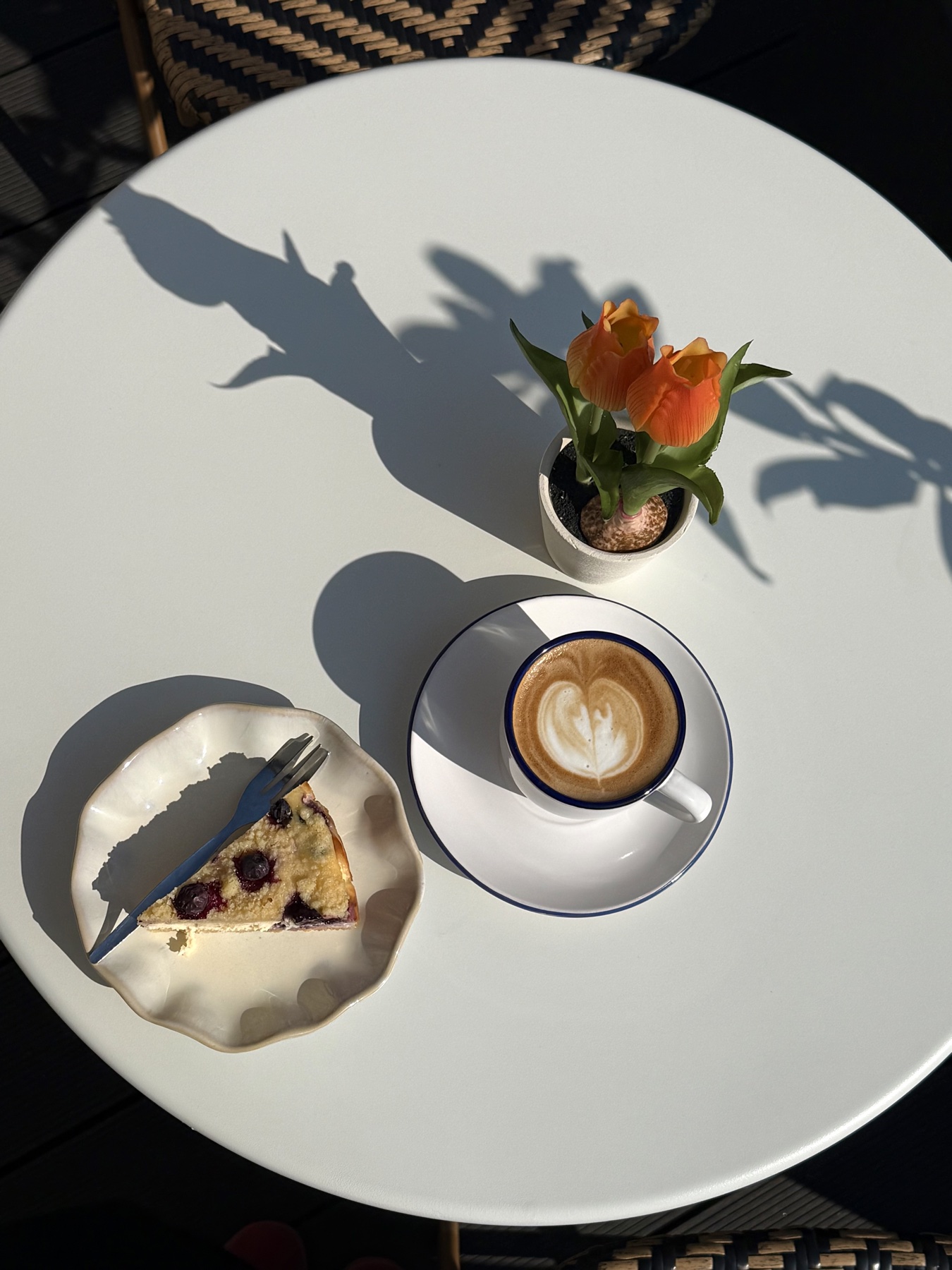 Café Seedling — gemütlicher Innenraum mit hellem Holz und vielen Pflanzen